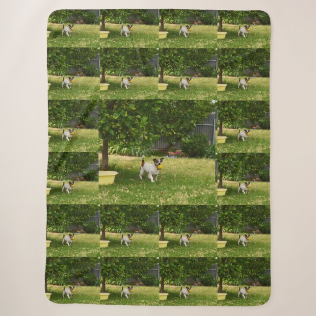 Couverture Sherpa Charlie The Fox Terrier Temps De Jeu, Sherpa Blank (Devant)