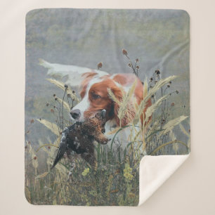 Couverture Sherpa Chasse avec Epagneul Breton