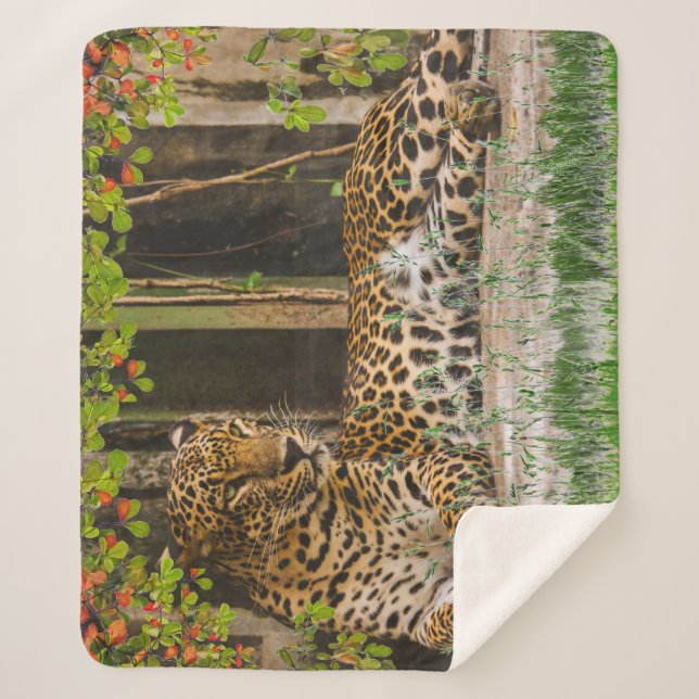 Couverture Sherpa Chat Léopard Animal (127 cm X 152 cm) (Devant)