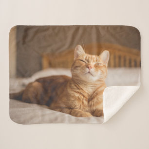 Couverture Sherpa Chat somnolent des images   de Getty