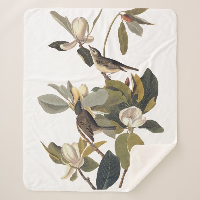 Couverture Sherpa Chauffe-volcans rougeoyer Kingbirds Vintage Audubo (Devant)