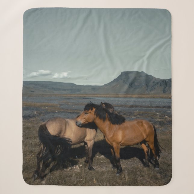 COUVERTURE SHERPA CHEVAL COUPLE (Devant)