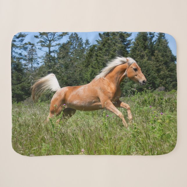 Couverture Sherpa Cheval Palomino courant à travers une prairie (Devant (Horizontal))