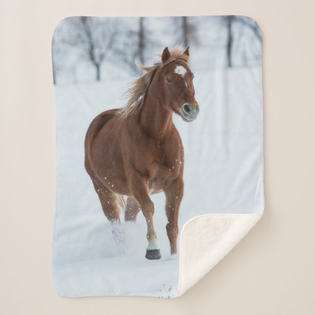 Couverture Sherpa Cheval simple courant dans la neige (Devant)