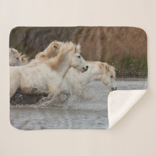 Couverture Sherpa Chevaux blancs de Camargue courant dans l'eau
