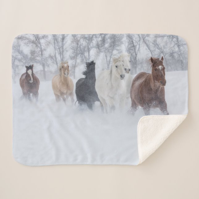 Couverture Sherpa Chevaux courant à travers la neige (Devant (Horizontal))
