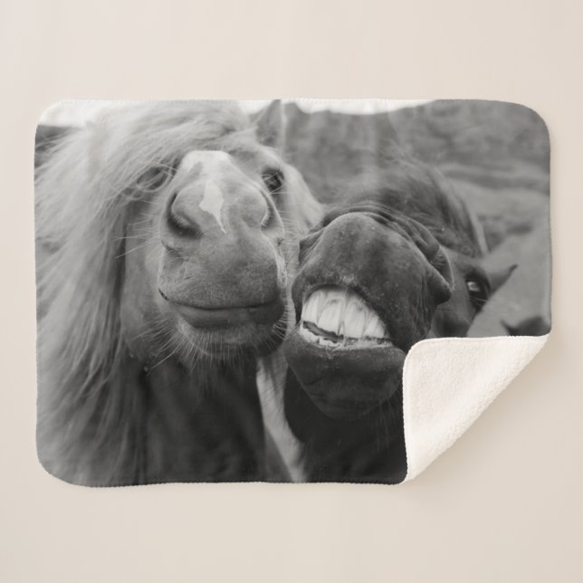 Couverture Sherpa Chevaux de sourire des images | de Getty (Devant (Horizontal))
