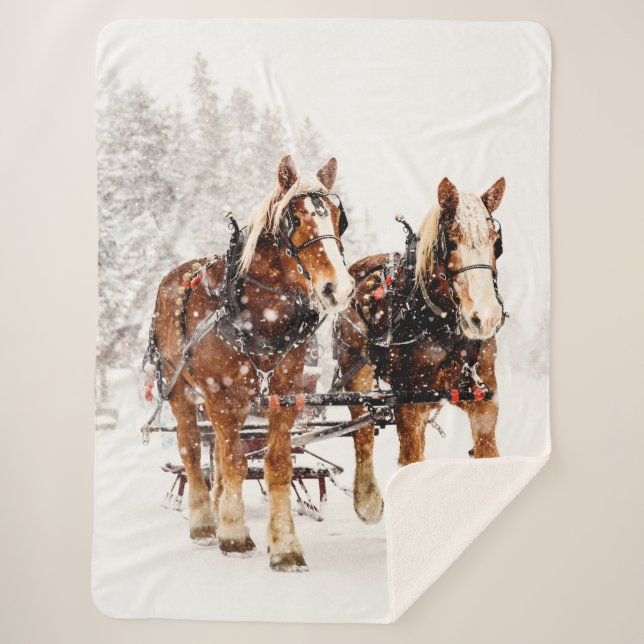 Couverture Sherpa CHEVAUX de TRAIT dans la NEIGE (Devant)