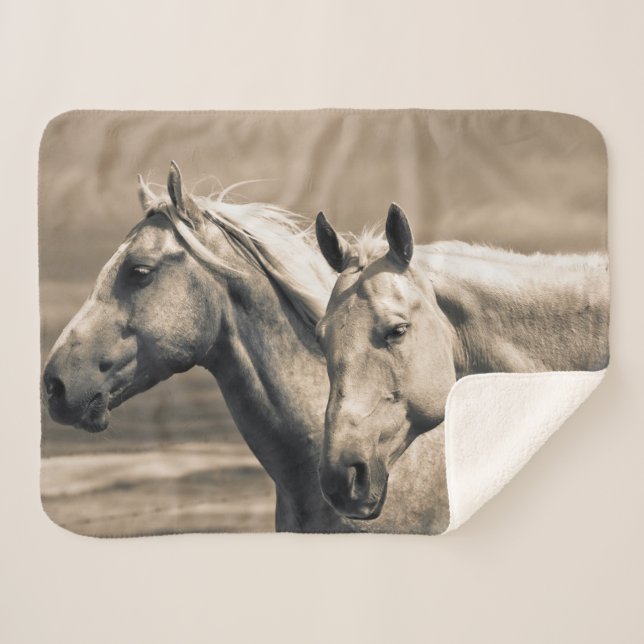 Couverture Sherpa Chevaux Quarter Horses dans la Prairie Canadienne (Devant (Horizontal))