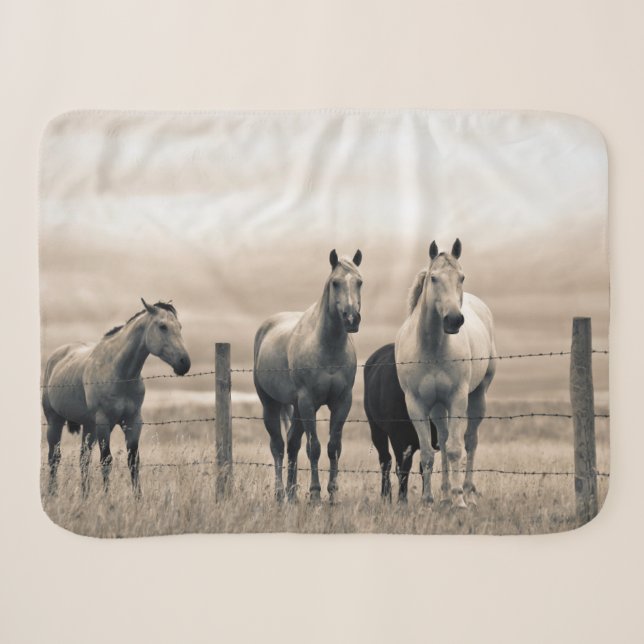 Couverture Sherpa Chevaux Quarter Horses dans la Prairie Canadienne (Devant (Horizontal))