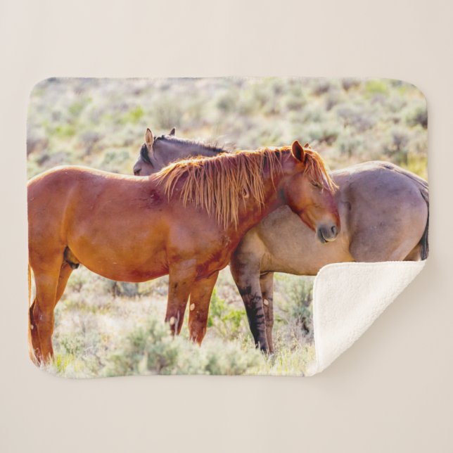 Couverture Sherpa Chevaux sauvages (Devant (Horizontal))