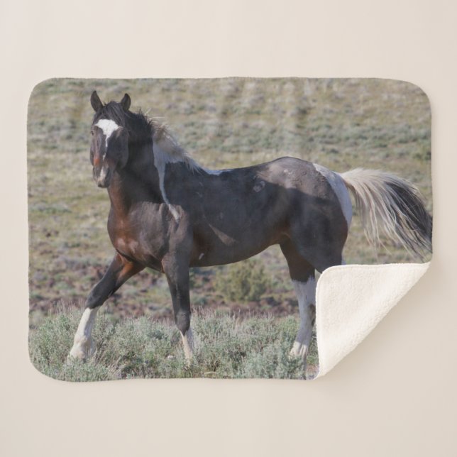 Couverture Sherpa Chevaux sauvages après un bain de poussière (Devant (Horizontal))