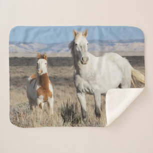 Couverture Sherpa Chevaux sauvages chez eux dans le bassin de Sandwa