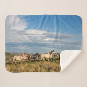 Couverture Sherpa Chevaux sauvages dans le parc national Theodore Ro
