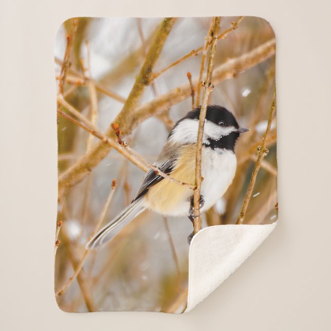 Couverture Sherpa Chickadee au plafond noir - Photo originale (Devant)