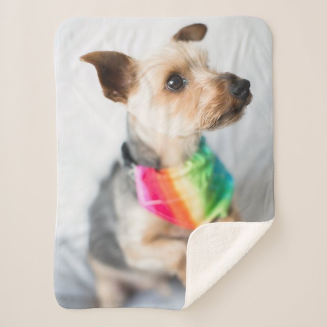 Couverture Sherpa Chien arc-en-ciel Gay pride| Yorkshire Terrier (Devant)