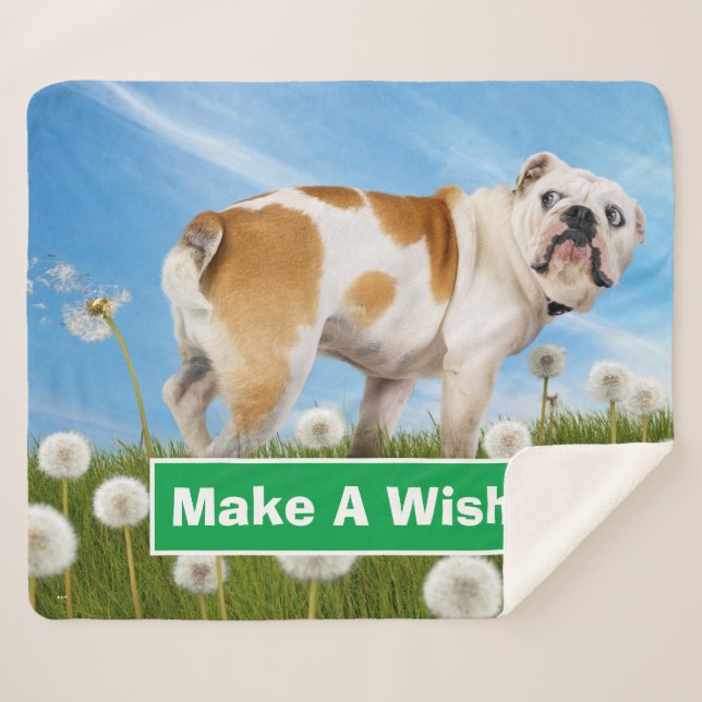 Couverture Sherpa Chien avec Dandelion (Devant (Horizontal))