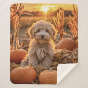 Couverture Sherpa Chien de caniche d'automne