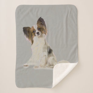 Couverture Sherpa Chien de Papillon