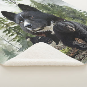 Couverture Sherpa Chien d'ours karélien