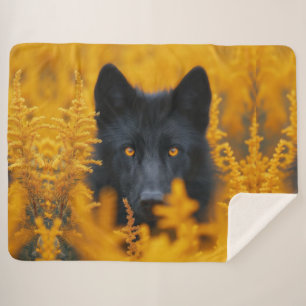 Couverture Sherpa Chien noir aux yeux d'or étonnants