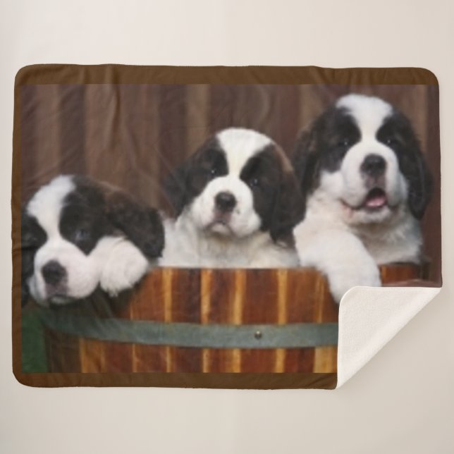 COUVERTURE SHERPA CHIOTS DE ST BERNARD (Devant (Horizontal))