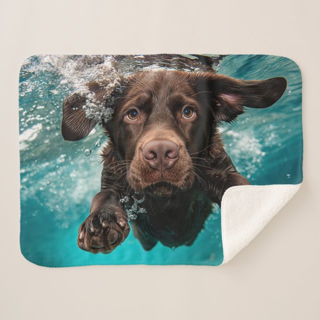 Couverture Sherpa Chocolat Joueur Labrador nage sous l'eau (Devant (Horizontal))
