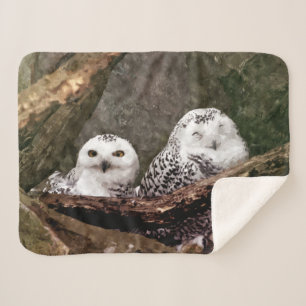 Couverture Sherpa Chouette Harfang Couple Art Bois Faune