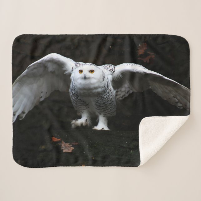 Couverture Sherpa Chouette neigeuse avec ailes ouvertes arc 4 (Devant (Horizontal))