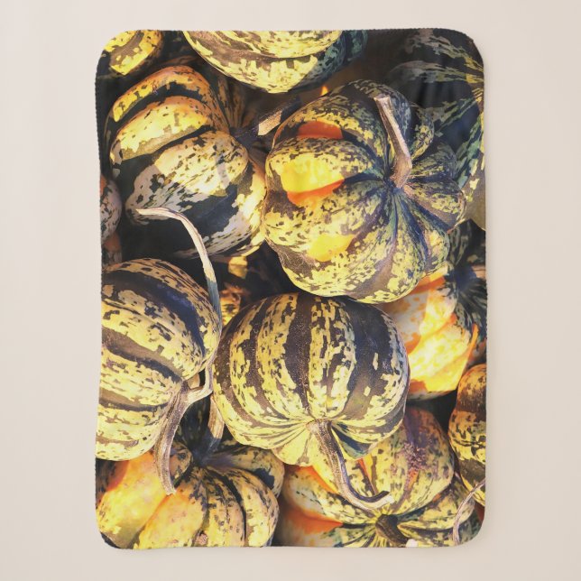 Couverture Sherpa Citrouilles rayées de près (Devant)