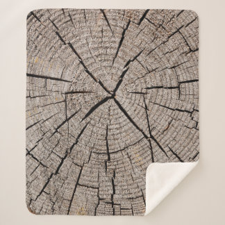 Couverture Sherpa Close up gray background texture of old weathered 