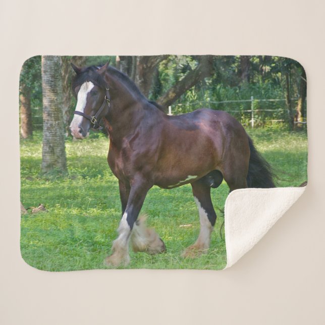 Couverture Sherpa Clydesdale Horse (Devant (Horizontal))