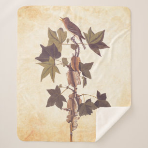 Couverture Sherpa Colibri Audubon Traill