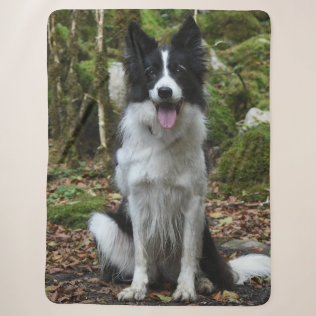 COUVERTURE SHERPA COLLIE FRONTALIÈRE (Devant)