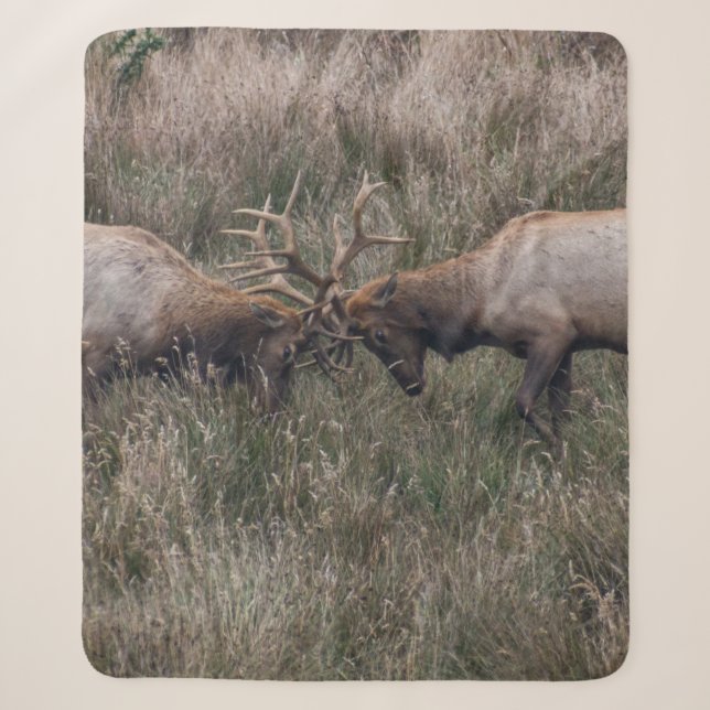 COUVERTURE SHERPA COMBATTRE LES CERFS (Devant)