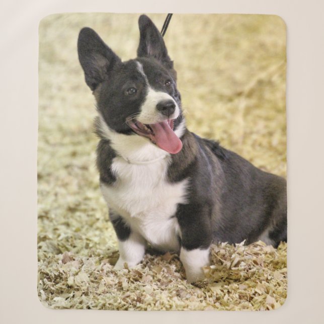 Couverture Sherpa Corgi (Devant)