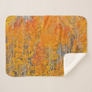 Couverture Sherpa Couleurs d'automne sur les bosquets de trembles