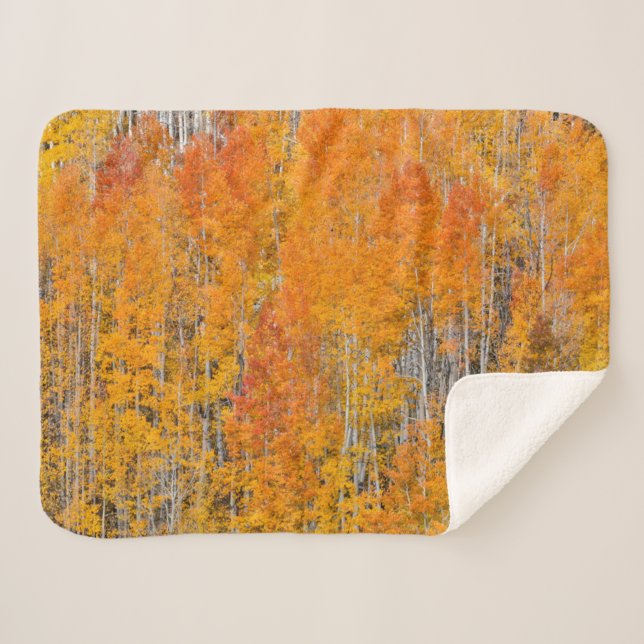 Couverture Sherpa Couleurs d'automne sur les bosquets de trembles (Devant (Horizontal))