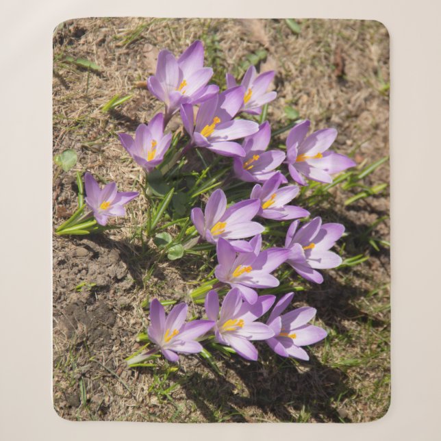 Couverture Sherpa Crocus de printemps mignons (Devant)