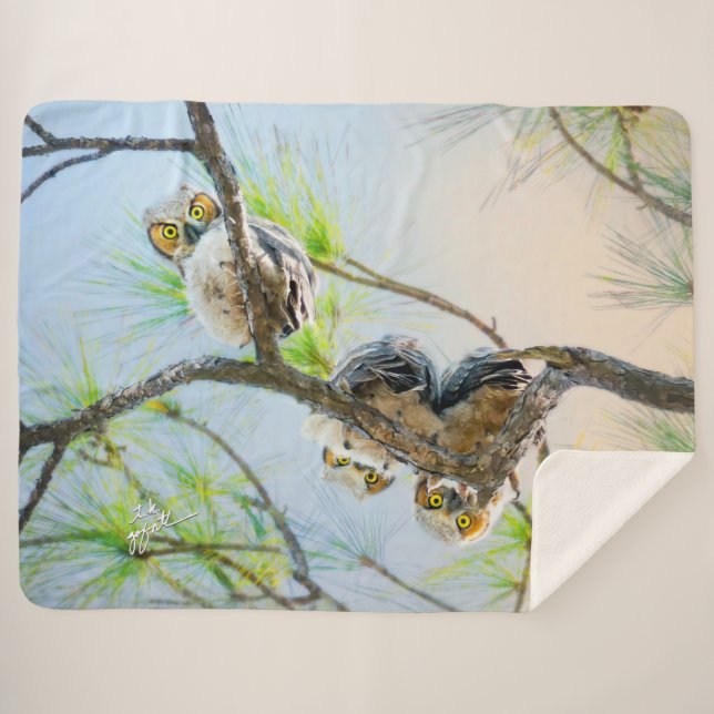Couverture Sherpa Cute Baby Owy Great Horned Wildlife Fine Art (Devant (Horizontal))