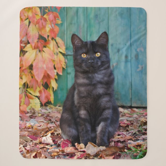 Couverture Sherpa Cute Chat Chat Noir Kitten avec Porte Bleue Feuill (Devant)