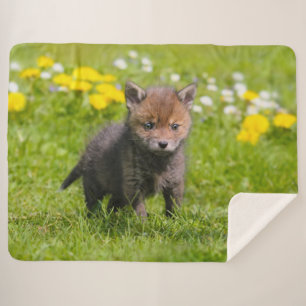 Couverture Sherpa Cute Fluffy Red Fox Kit Cub Wild Baby Animal Photo