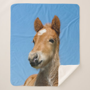 Couverture Sherpa Cute Islandais Horse Foal Pony Head Photo ..