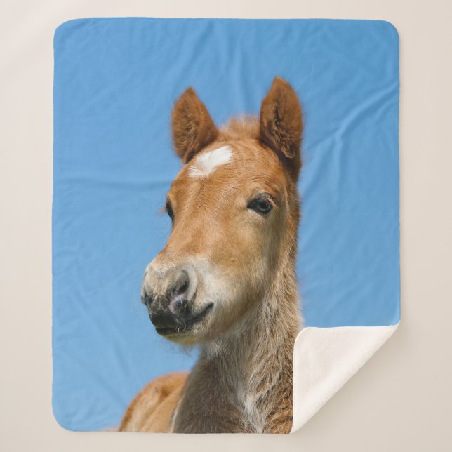Couverture Sherpa Cute Islandais Horse Foal Pony Head Photo .. (Devant)