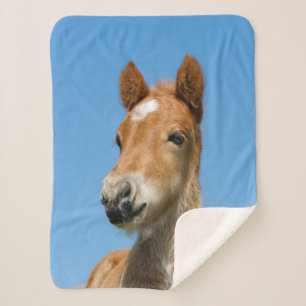 Couverture Sherpa Cute Islandais Horse Foal Pony Head Photo