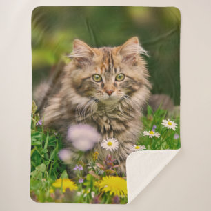 Couverture Sherpa Cute Tabby Maine Coon Kitten Chat Animal Tête Phot