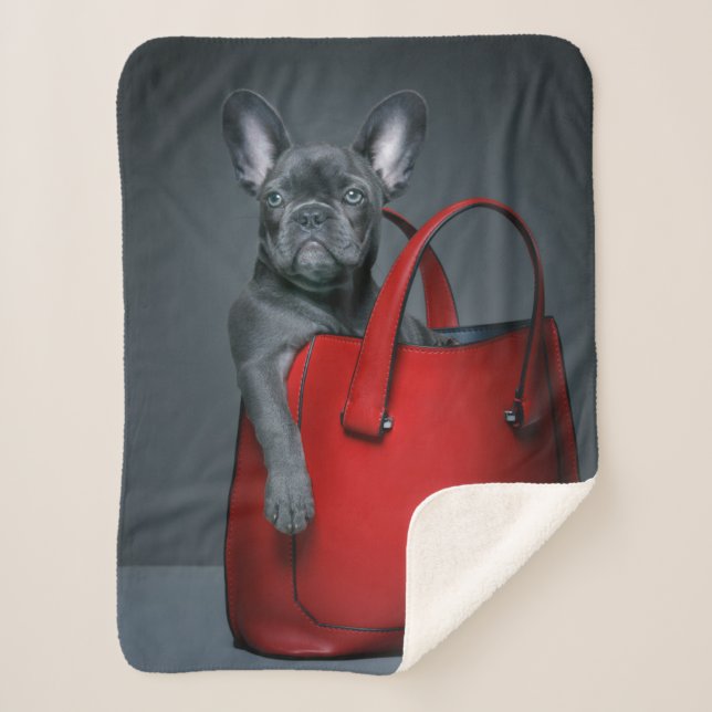 Couverture Sherpa Cutest Baby Animals | French Bulldog in Handbag (Devant)