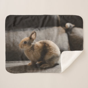 Couverture Sherpa Cutest Baby Animals Netherland Dwarf Rabbit