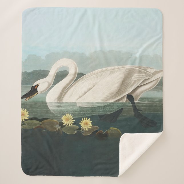 Couverture Sherpa cygne audubon cygnes d'eau blanche (Devant)