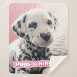 Couverture Sherpa Dalmatien Nez de Coeur